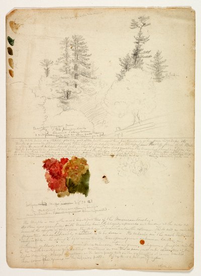 Beautiful Groups of Pines; Tints from Maples, New Hampshire, September 30th 1828 by Thomas Cole